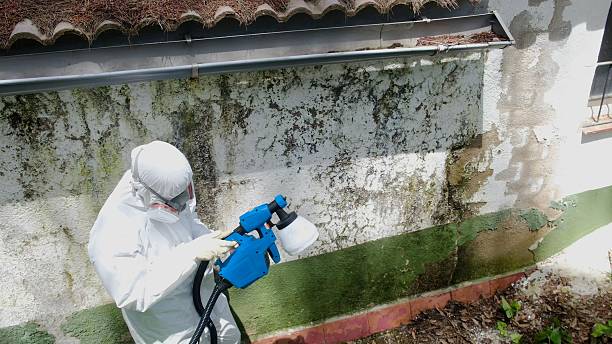 Trusted Mold Inspection service in McAlisterville, PA - Cheap Mold Removal